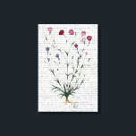 Italian Carnation 5 Canvas Print<br><div class="desc">Botanical & Floral</div>