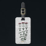 Italian Carnation 6 Luggage Tag<br><div class="desc">Botanical & Floral</div>