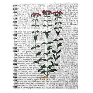 Italian Carnation 6 Notebook