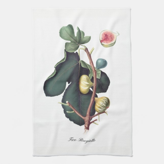 Italian Fig Kitchen Towel (Vertical)