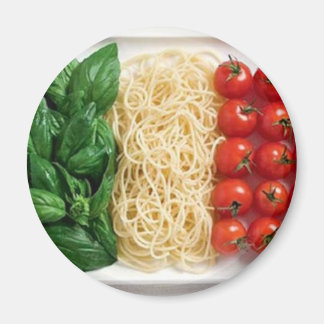 Italian Flag Magnet