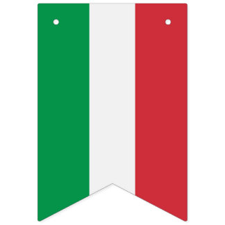 Italian Flag, Party Banner with the Flag of Italy