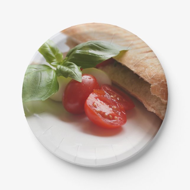 Italian food paper plates (Front)