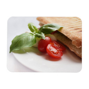 Italian food rectangular magnet