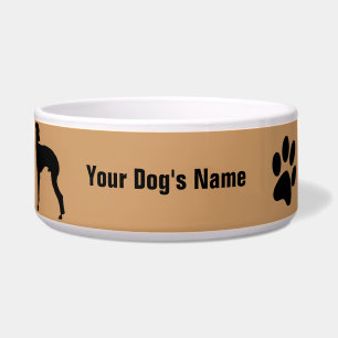 Italian Greyhound イタリアン・グレーハウンド