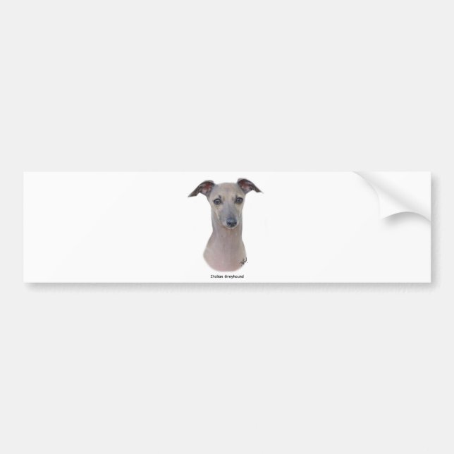 Italian Greyhound 9K75D-11 Bumper Sticker (Front)