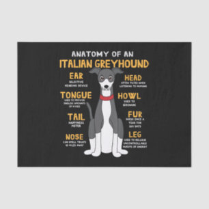 Italian Greyhound Anatomy Funny Dog Mum Dad Gift Tissue Paper
