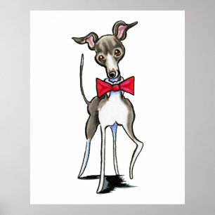 Italian Greyhound Antonio Poster
