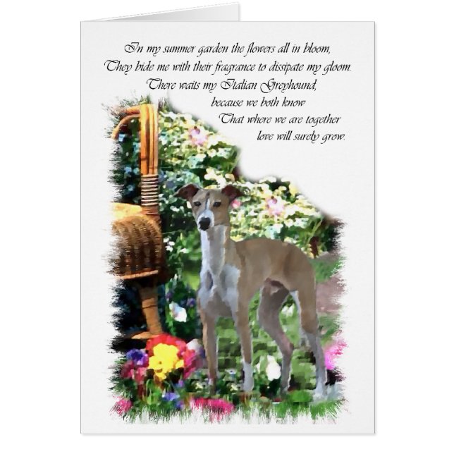 Italian Greyhound Art Gifts (Front)