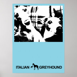 Italian Greyhound Blue Poster