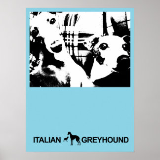 Italian Greyhound Blue Poster