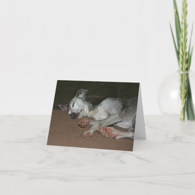 Italian Greyhound Card #1 (Front)