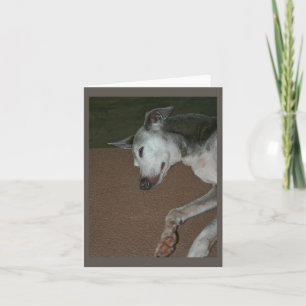 Italian Greyhound Card #2