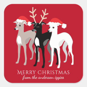 Italian Greyhound Christmas Iggy Square Sticker
