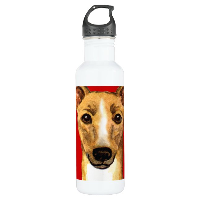 Italian Greyhound Colour Block 710 Ml Water Bottle (Front)