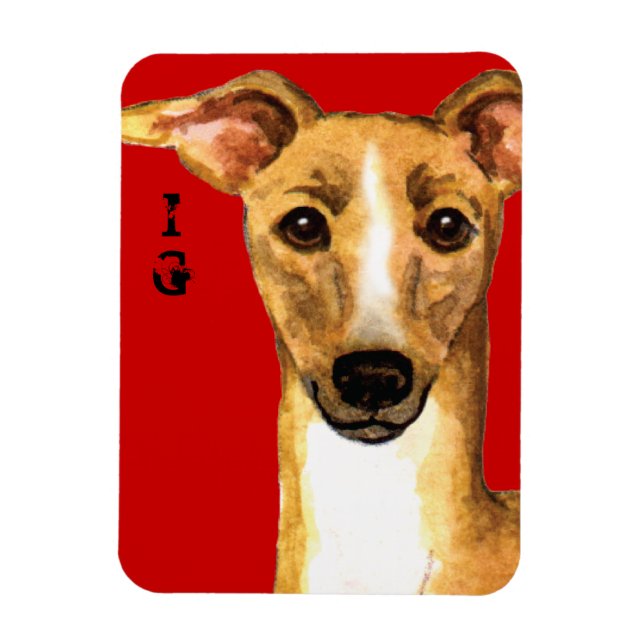 Italian Greyhound Colour Block Magnet (Vertical)