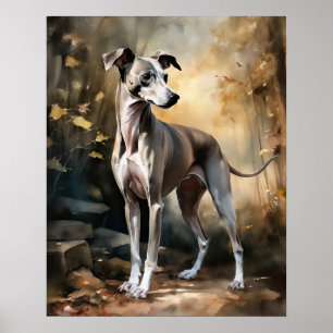 Italian Greyhound Dog Art Print Poster