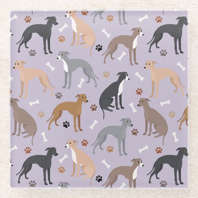 Italian Greyhound Dog Bones and Paws Glass Coaster (Front)