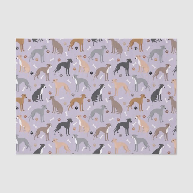 Italian Greyhound Dog Bones and Paws Tissue Paper (Front)