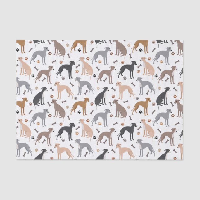 Italian Greyhound Dog Bones and Paws Tissue Paper (Front)