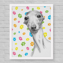 Italian Greyhound dog Cute Funny Sketch Portrait