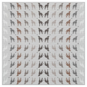 Italian Greyhound Dog Rescue Joann Fabric Iggy