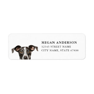 Italian Greyhound Dog Return Address Labels
