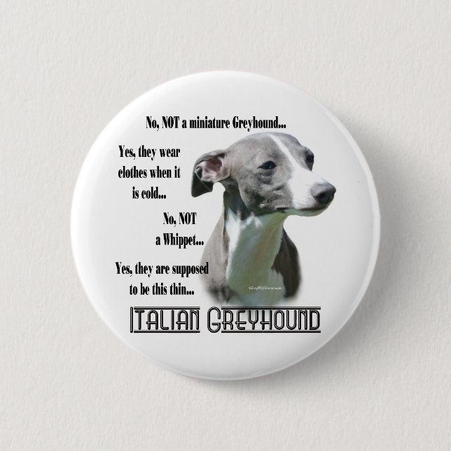 Italian Greyhound FAQ Button (Front)