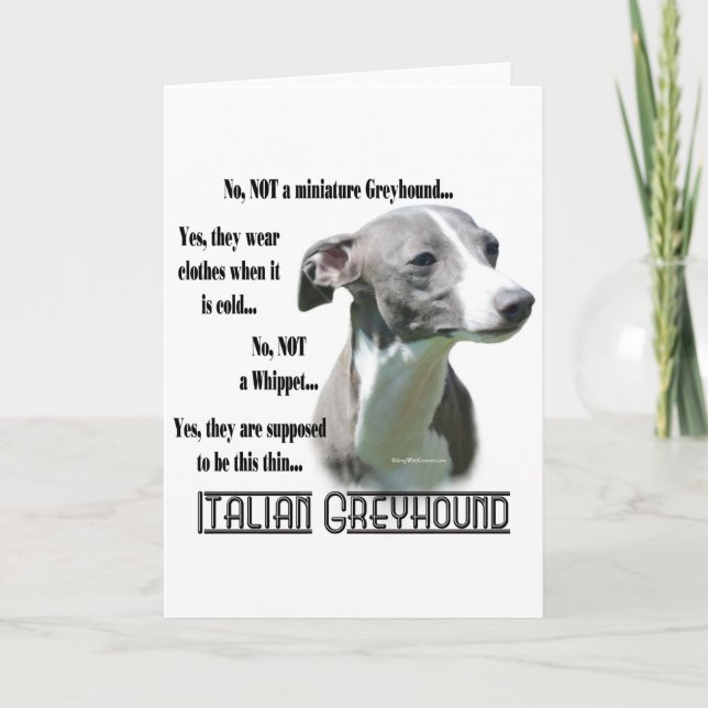 Italian Greyhound FAQ Card (Front)