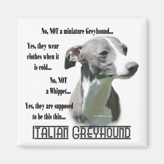 Italian Greyhound FAQ Magnet (Front)