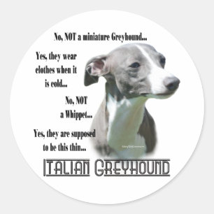 Italian Greyhound FAQ Sticker