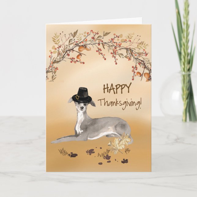 Italian Greyhound Funny Pilgrim Hat Thanksgiving Card (Front)