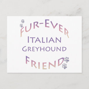 Italian Greyhound Furever Postcard