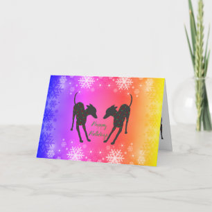 Italian Greyhound Holiday