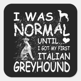 italian greyhound i was normal until dirty design square sticker