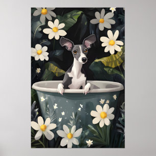 Italian Greyhound In Bathtub Poster, Funny Dog Poster