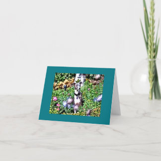 Italian Greyhound In the Garden Note Card