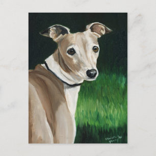 Italian Greyhound Original Dog Art Postcard