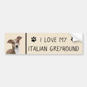 Italian Greyhound Painting - Cute Original Dog Art Bumper Sticker