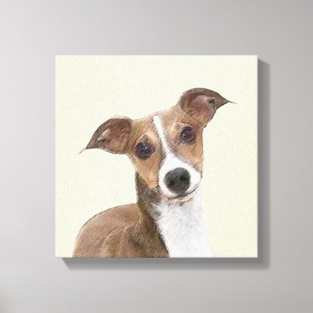 Italian Greyhound Painting - Cute Original Dog Art Canvas Print (Front)