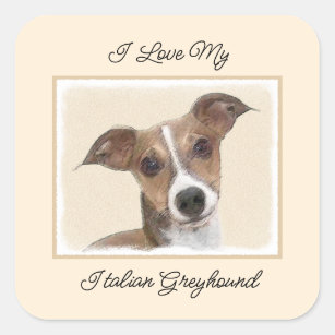 Italian Greyhound Painting - Cute Original Dog Art Square Sticker