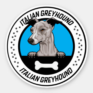 Italian Greyhound Peeking Illustration Badge