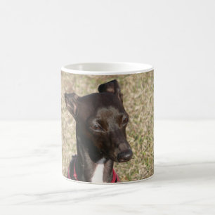 italian greyhound.png coffee mug