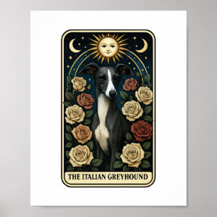 Italian Greyhound Poster