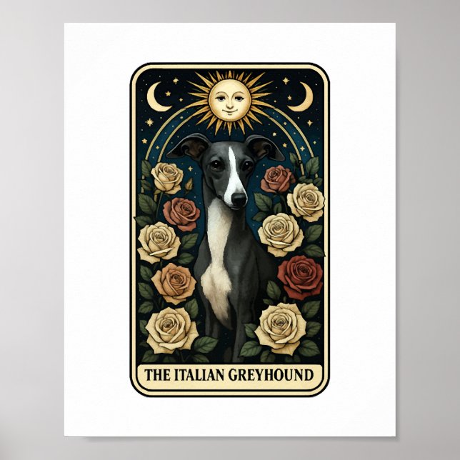 Italian Greyhound Poster (Front)