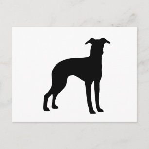 italian greyhound silhouette postcard