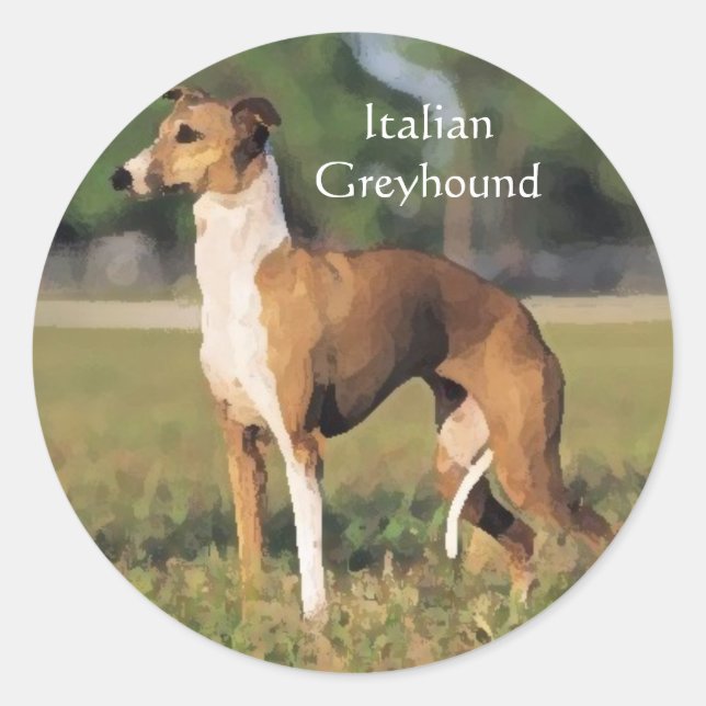 Italian Greyhound Stickers (Front)