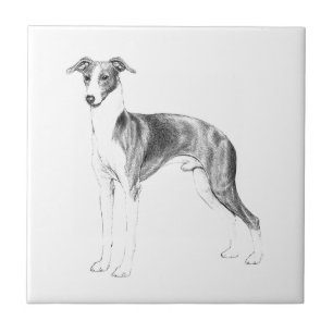 Italian Greyhound Style Tile