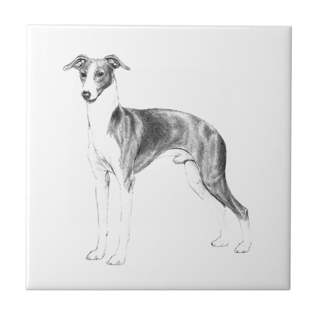Italian Greyhound Style Tile (Front)