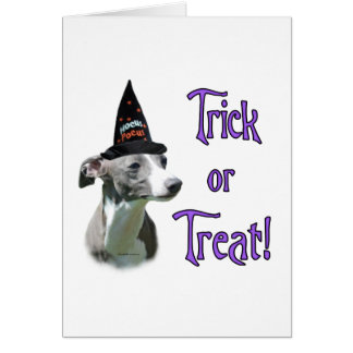 Italian Greyhound Trick
